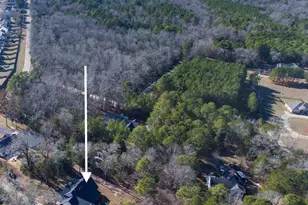 160 Stucks Point, Chapin, SC 29036 - Photo 47