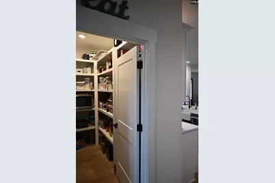 160 Stucks Point, Chapin, SC 29036 - Photo 17