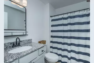 160 Stucks Point, Chapin, SC 29036 - Photo 39