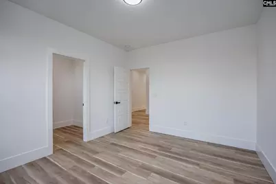 274 Pintail Lake Drive, Gilbert, SC 29054 - Photo 49