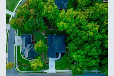 274 Pintail Lake Drive, Gilbert, SC 29054 - Photo 59