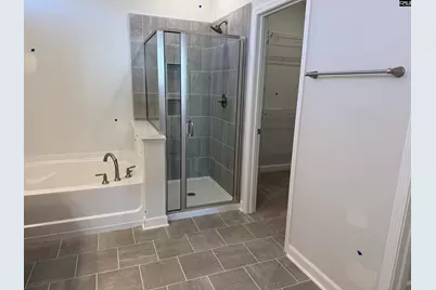 427 Rising Stream Way, Chapin, SC 29036 - Photo 11