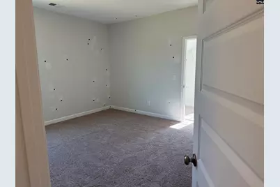 427 Rising Stream Way, Chapin, SC 29036 - Photo 17