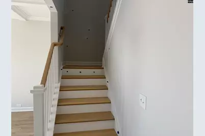 427 Rising Stream Way, Chapin, SC 29036 - Photo 19