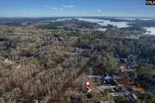 100 Point St, Chapin, SC 29036 - Photo 27