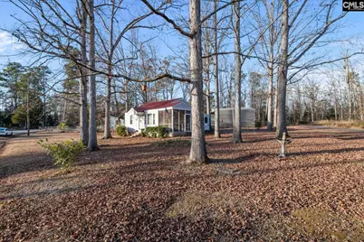 100 Point Street, Chapin, SC 29036 - Photo 23