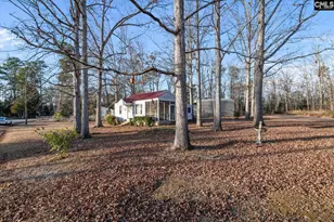 100 Point St, Chapin, SC 29036 - Photo 23