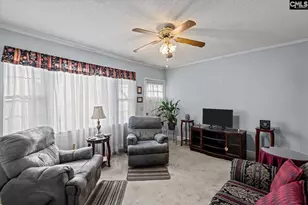 100 Point St, Chapin, SC 29036 - Photo 7