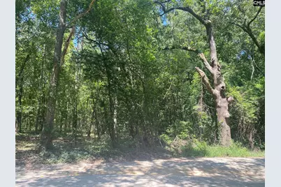 0 Mathias Road, West Columbia, SC 29169 - Photo 3