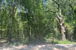 0 Mathias Rd, West Columbia, SC 29169 - Photo 3