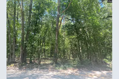 0 Mathias Road, West Columbia, SC 29169 - Photo 3