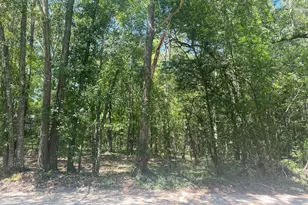 0 Mathias Rd, West Columbia, SC 29169 - Photo 3