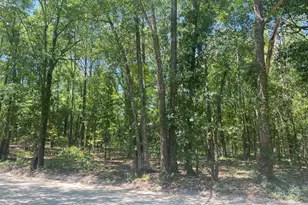 0 Mathias Rd, West Columbia, SC 29169 - Photo 1