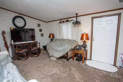 3130 Mt. Sinai Church Road, Lynchburg, SC 29080 - Photo 9