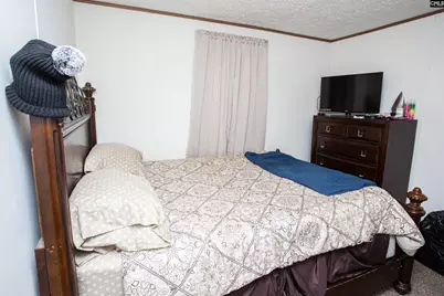 3130 Mt. Sinai Church Road, Lynchburg, SC 29080 - Photo 11