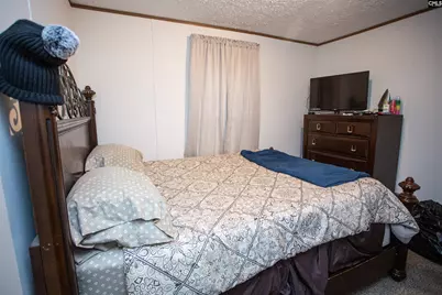 3130 Mt. Sinai Church Road, Lynchburg, SC 29080 - Photo 17