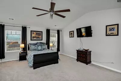 932 Trident Maple Lane, Chapin, SC 29036 - Photo 23