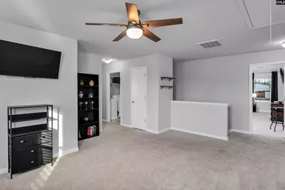 932 Trident Maple Lane, Chapin, SC 29036 - Photo 21