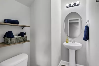 932 Trident Maple Lane, Chapin, SC 29036 - Photo 19