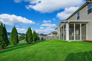 932 Trident Maple Ln, Chapin, SC 29036 - Photo 3