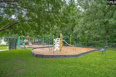 408 Gallatin Circle, Irmo, SC 29063 - Photo 39