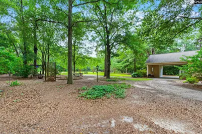 151 Thornridge Road, Wagener, SC 29164 - Photo 23