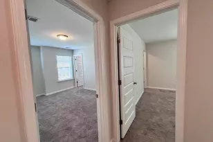 25 Haigler Ct, Elgin, SC 29045 - Photo 41