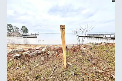 1541 Counts Ferry Road, Lexington, SC 29072 - Photo 5