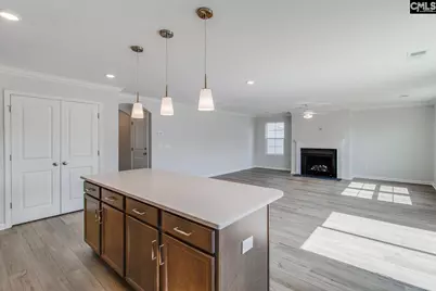 2080 County Line Trail, Elgin, SC 29045 - Photo 7