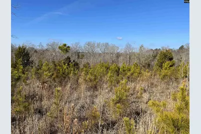242 Chappell Road, Winnsboro, SC 29180 - Photo 1