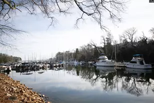 238 Shoreline Dr, Columbia, SC 29212 - Photo 23