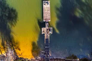 320 Wooden Bridge Point, Leesville, SC 29070 - Photo 15