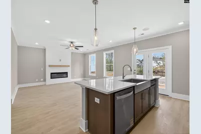 28 Elk Run Court, Chapin, SC 29036 - Photo 21