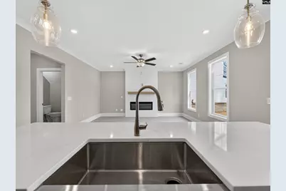 28 Elk Run Court, Chapin, SC 29036 - Photo 23