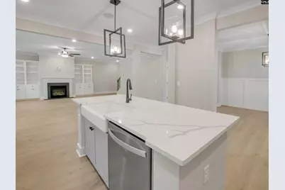 20 Elk Run Court, Chapin, SC 29036 - Photo 9