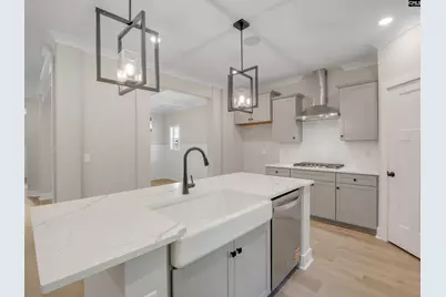 20 Elk Run Court, Chapin, SC 29036 - Photo 11