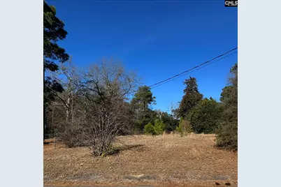3405 Emanuel Church Road, Lexington, SC 29073 - Photo 27