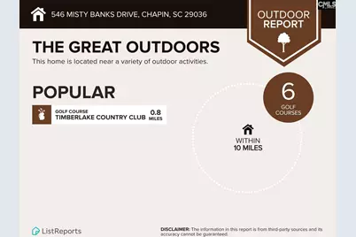 546 Misty Banks Drive #87, Chapin, SC 29036 - Photo 19