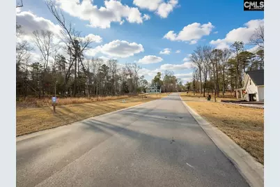 546 Misty Banks Drive #87, Chapin, SC 29036 - Photo 3