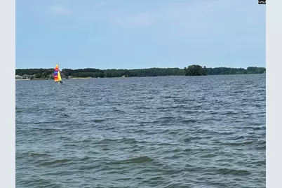 546 Misty Banks Drive #87, Chapin, SC 29036 - Photo 13