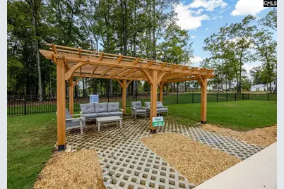 546 Misty Banks Drive #87, Chapin, SC 29036 - Photo 11