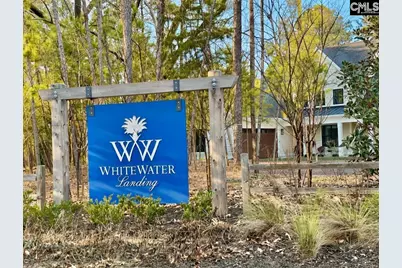 546 Misty Banks Drive #87, Chapin, SC 29036 - Photo 5