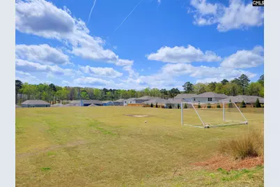 591 Carters Grove Lane, Blythewood, SC 29016 - Photo 7