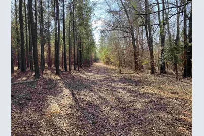 Tbd 1 Juniper Road, Barnwell, SC 29843 - Photo 11
