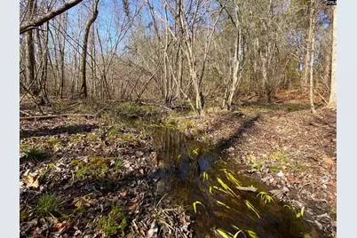 Tbd 1 Juniper Road, Barnwell, SC 29843 - Photo 7