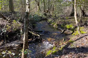 Tbd 1 Juniper Rd, Barnwell, SC 29843 - Photo 1