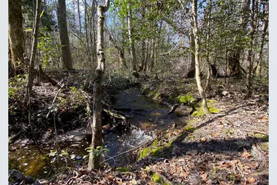 Tbd 1 Juniper Road, Barnwell, SC 29843 - Photo 13