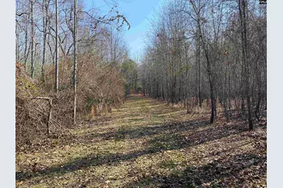 Tbd 1 Juniper Road, Barnwell, SC 29843 - Photo 5