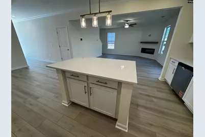 562 Griffon Drive, Chapin, SC 29036 - Photo 7