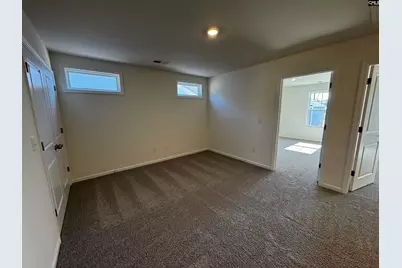 562 Griffon Drive, Chapin, SC 29036 - Photo 17